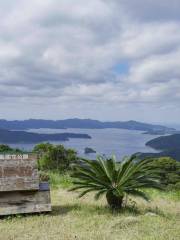 油井岳觀景台