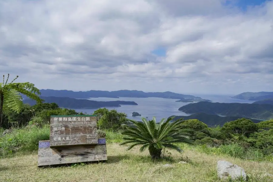 油井岳觀景台