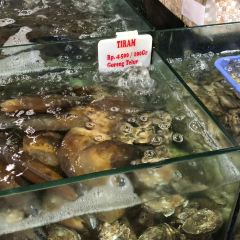Bandar Djakarta張用戶圖片