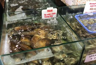 Bandar Djakarta User Photo