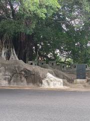 Tong'an Ancient City Wall