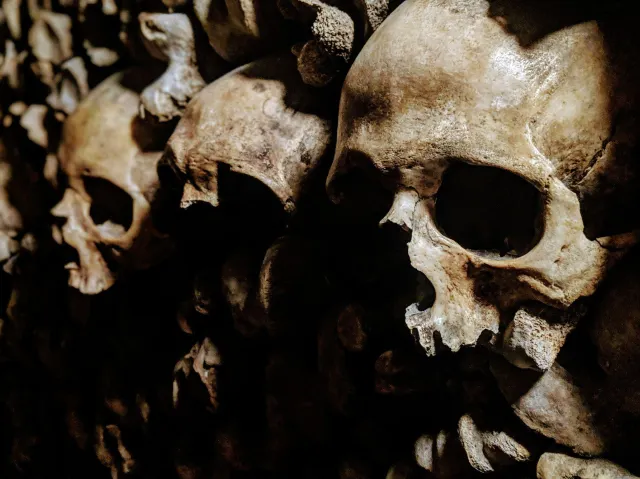 A staggering 6 million bodies lay in Paris's catacombs
