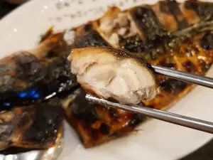 털보고된이