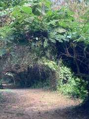 Ecological and Sports Park Cayalá