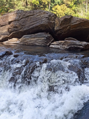 Mookanamane Abbi Falls