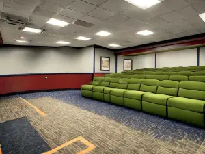 Black Bear Cinemas