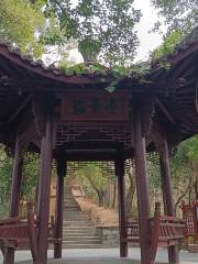 Shiyin Park