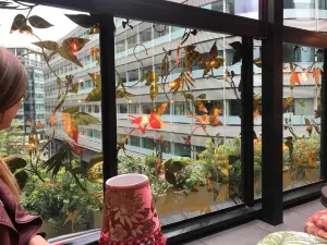 The Ivy Spinningfields