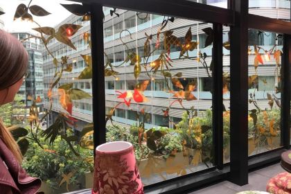 The Ivy Spinningfields