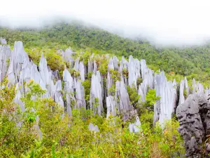 Gunung Mulu Nationalpark