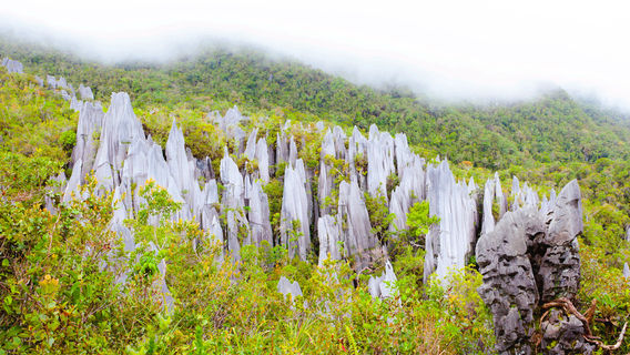 Vườn quốc gia Gunung Mulu