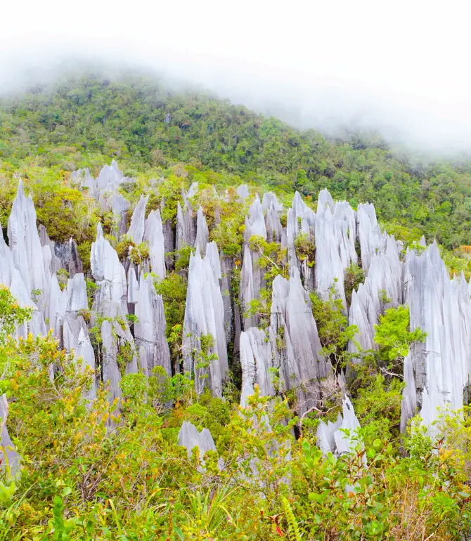 Gunung Mulu National Park