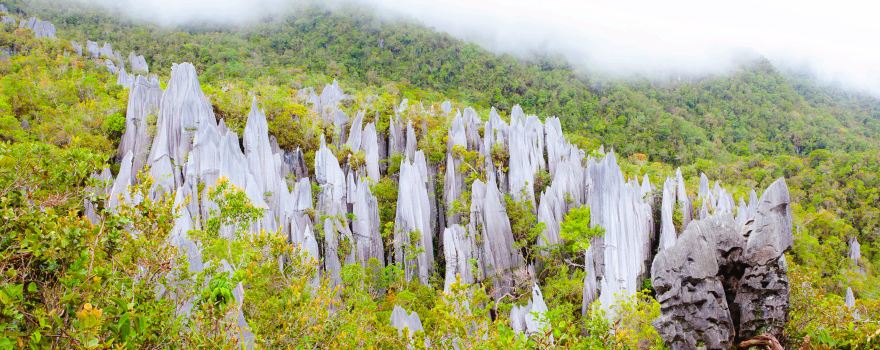 Gunung Mulu Nationalpark