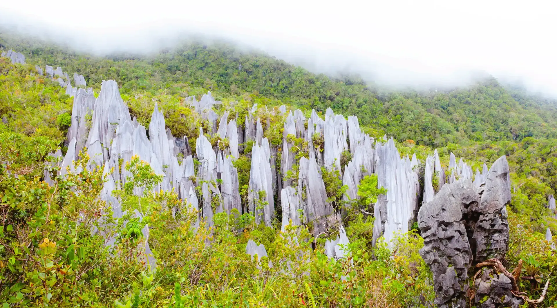 Hotels near Gunung Mulu National Park
