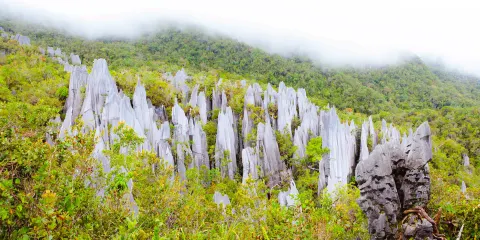 姆魯山國家公園