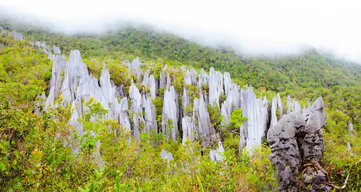 Gunung Mulu National Park