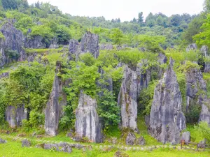 Sinan Stone Forest Tourist Area
