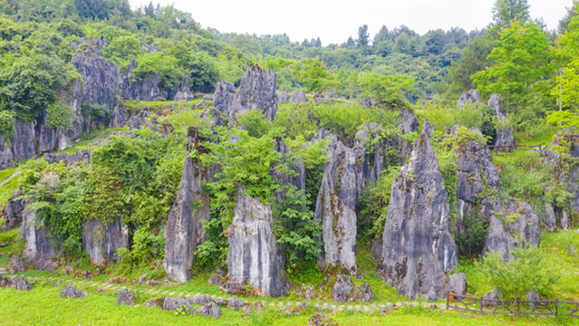 Sinan Stone Forest Tourist Area