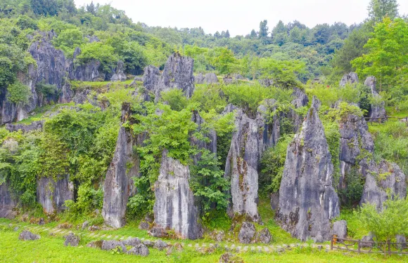 思南石林景區門票小童
