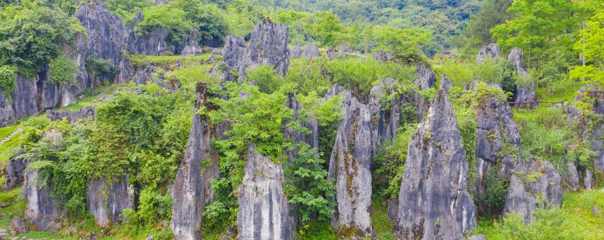Sinan Stone Forest Tourist Area