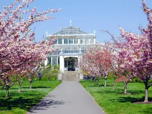 Royal Botanic Gardens di Kew