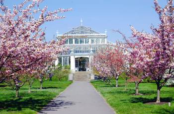 Top 12 Spring Outings in London