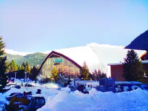 Vaillant Arena