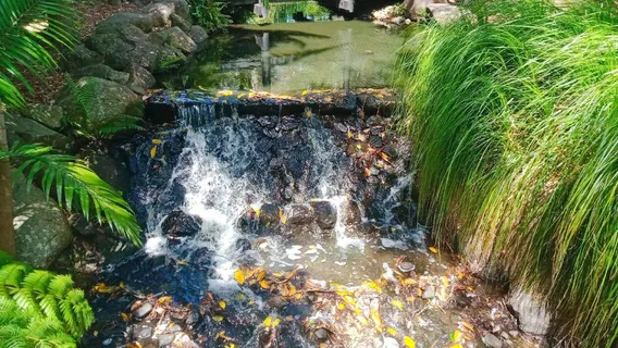 Gold Coast Regional Botanic Gardens