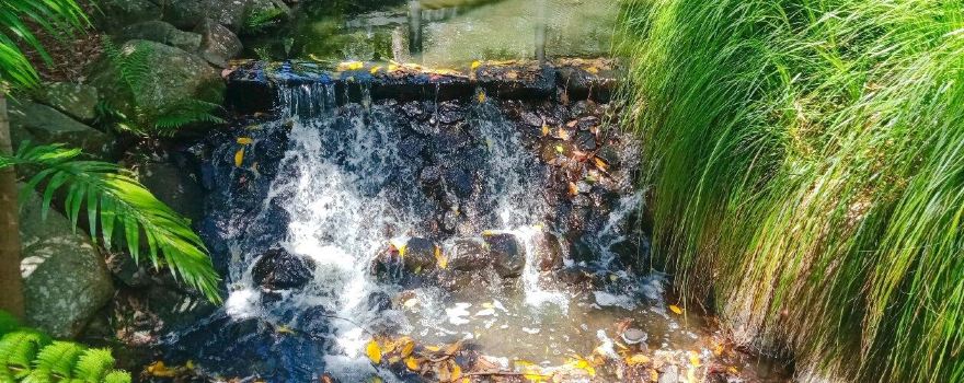 Gold Coast Regional Botanic Gardens