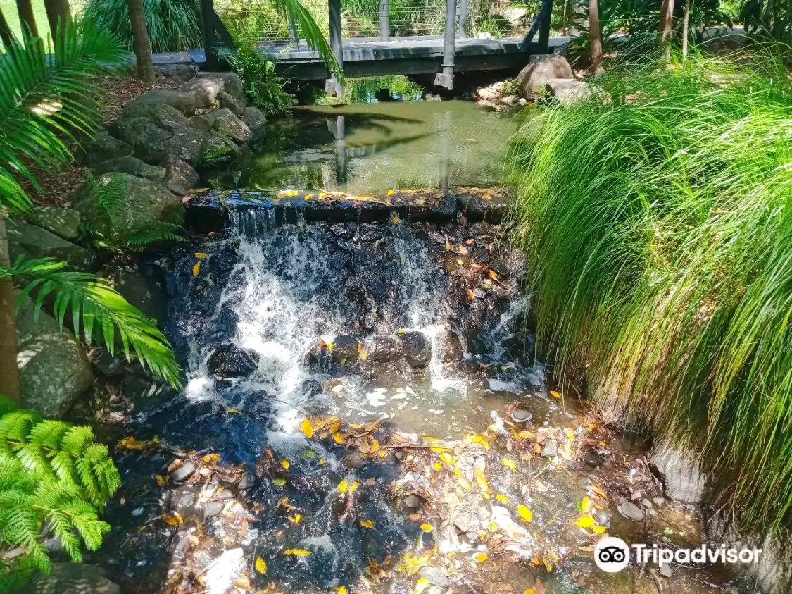 Hotels near Gold Coast Regional Botanic Gardens