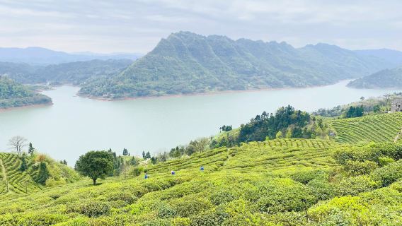 Yuanjiang River