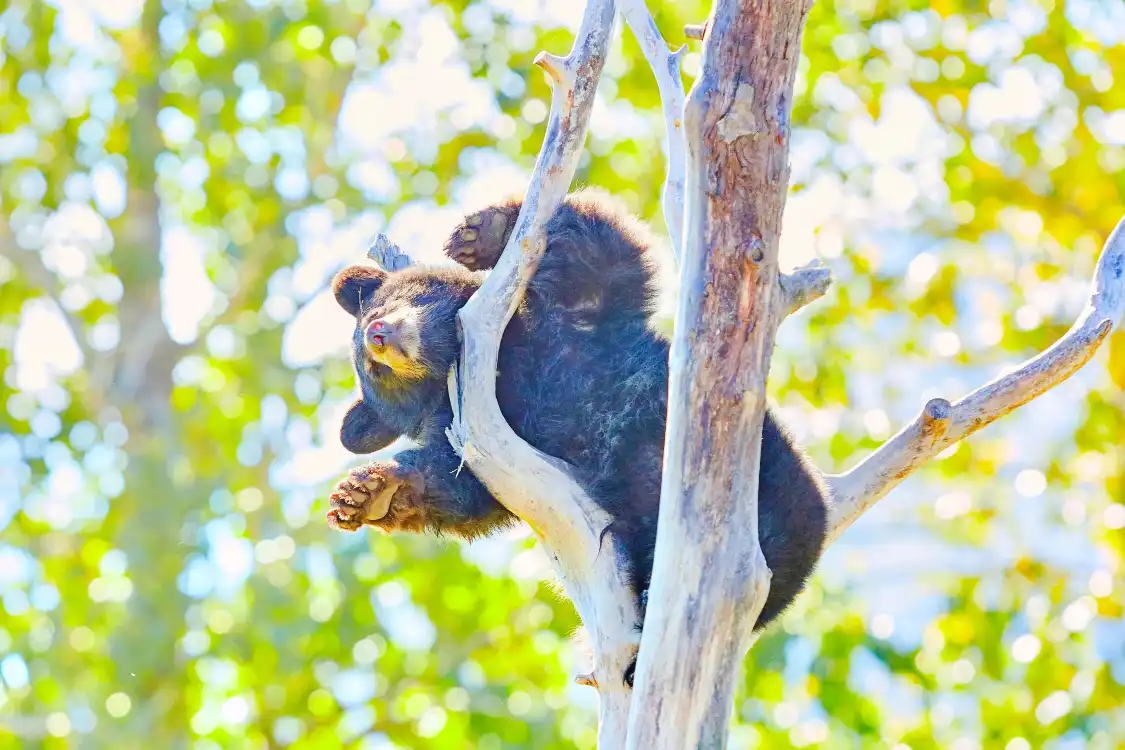 Hotel in zona Centro Conservazione Wildlife