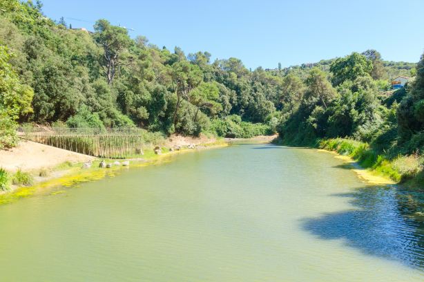 Zeya Scenic Area
