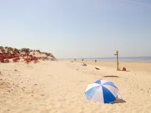 Formby Beach