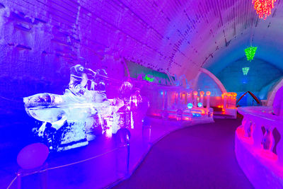 Fairbanks Ice Museum