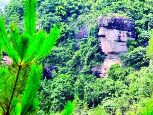 Zilin Mountain National Forest Park