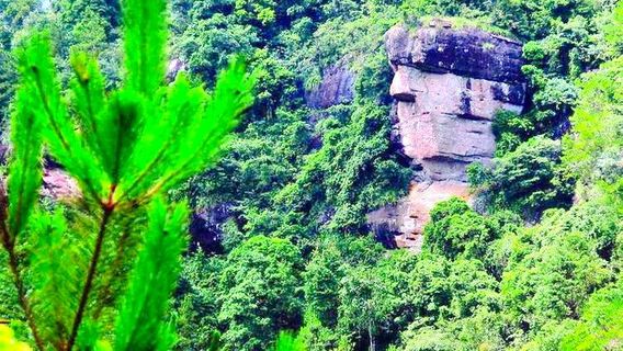 Zilin Mountain National Forest Park