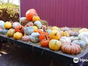 Butler's Orchard