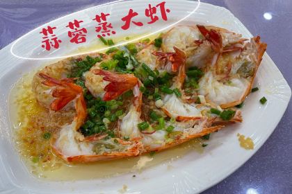 XIN MING YUAN CAN TING