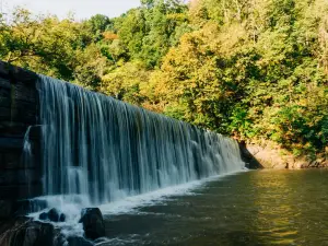 Hollins Mill Park