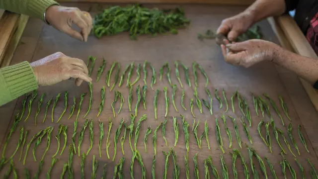 Experience intangible cultural heritage in Huangshan