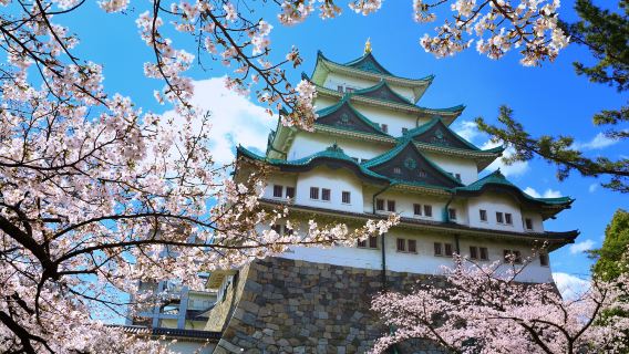 日本名古屋+名古屋城+熱田神宮+犬山城+大須商業街一日遊