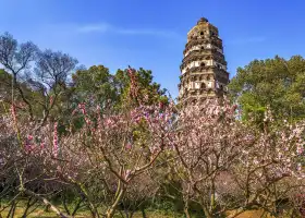 Tiger Hill(Huqiu) Scenic Area