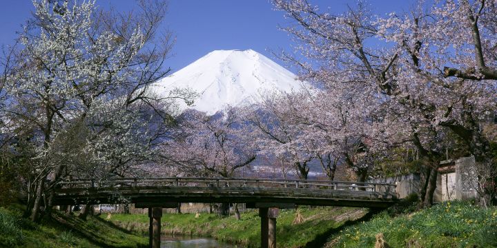 忍野八海