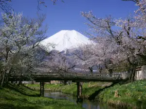 Oshino Hakkai (the Eight Seas of Oshino)