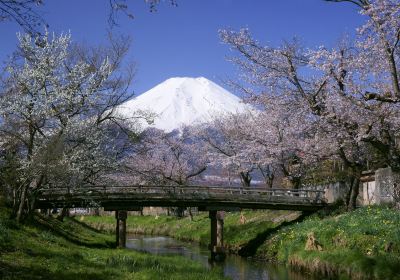 Oshino Hakkai (the Eight Seas of Oshino)
