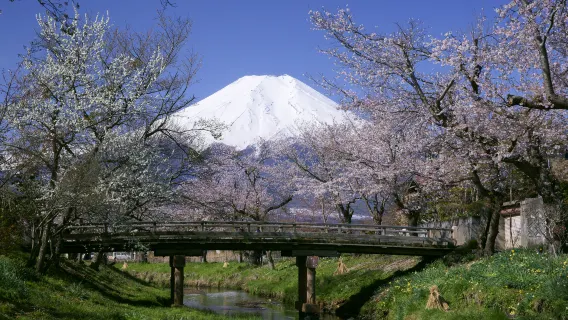 人氣景點