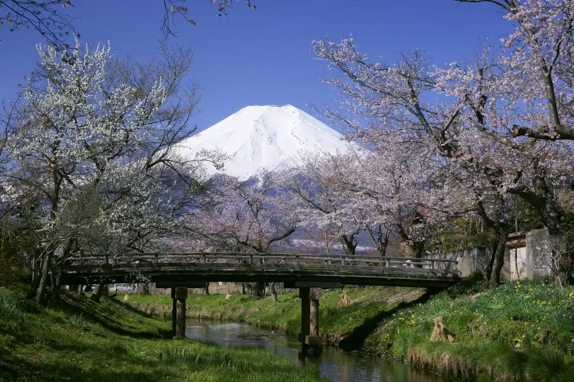 Hotels near Oshino Hakkai (the Eight Seas of Oshino)