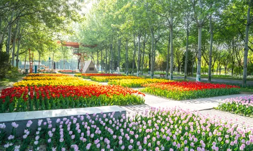 Sun Park