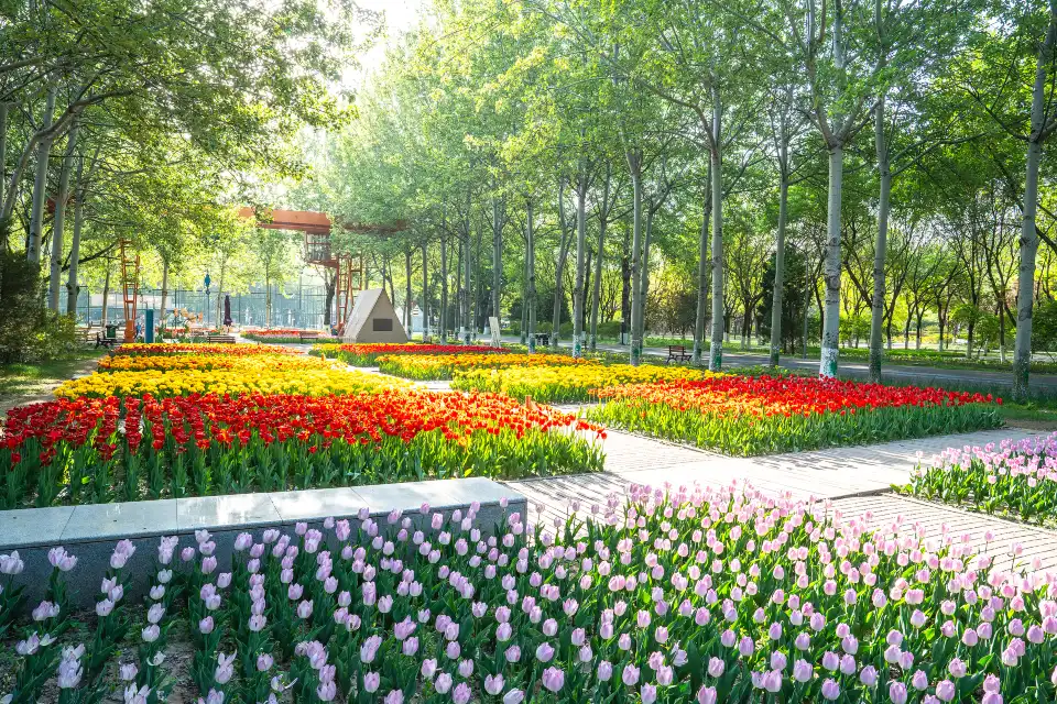 2_Sun Park